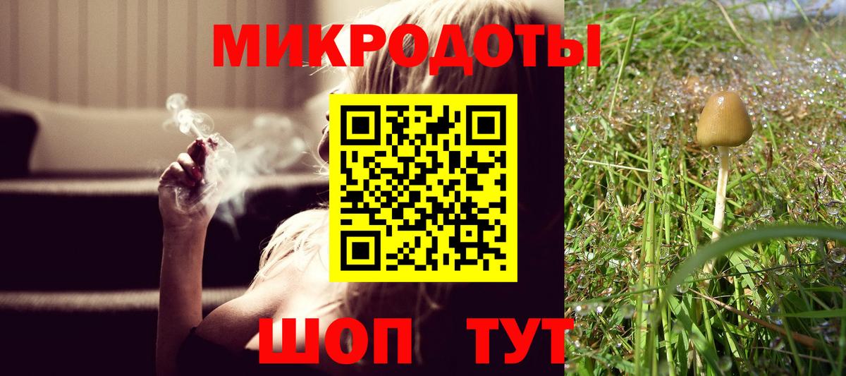 Галлюциногенные грибы MAGIC MUSHROOMS Торжок